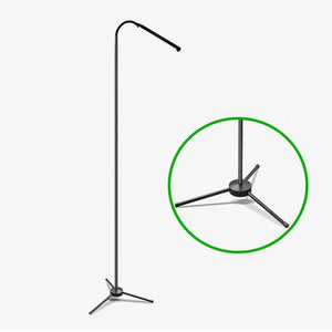 Sleek Floor Lamp